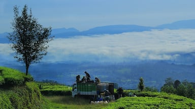 Bandung showing landscape views and vehicle touring