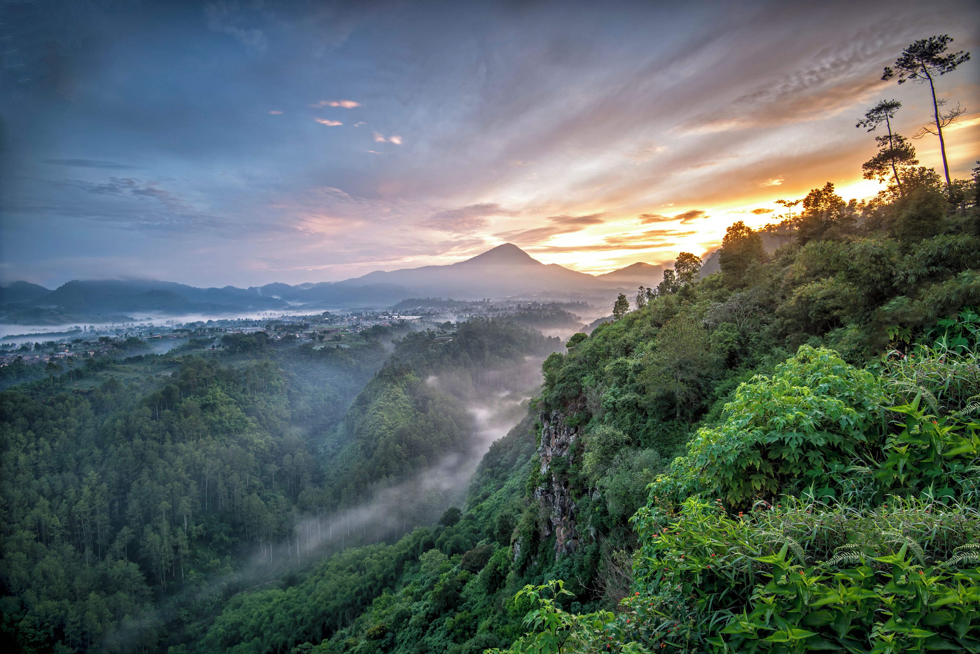 A lush valley with a mountain in the distance, dense forest, and a misty atmosphere.