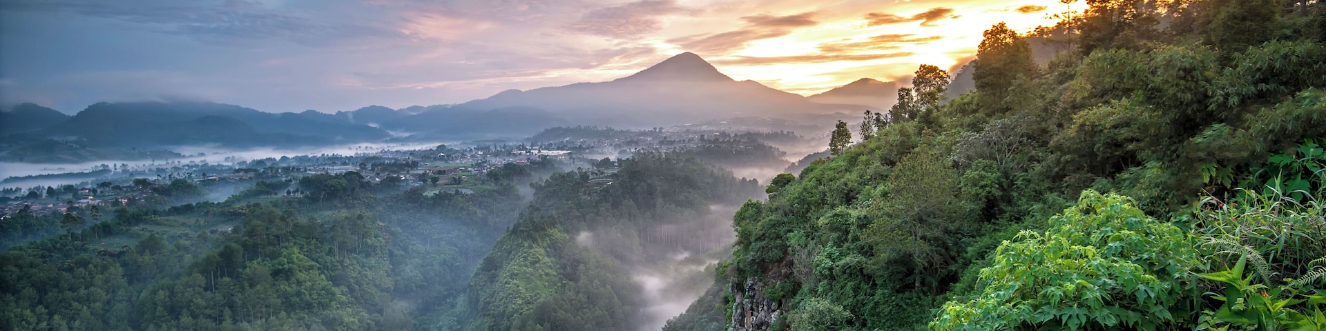 A lush valley with a mountain in the distance, dense forest, and a misty atmosphere.