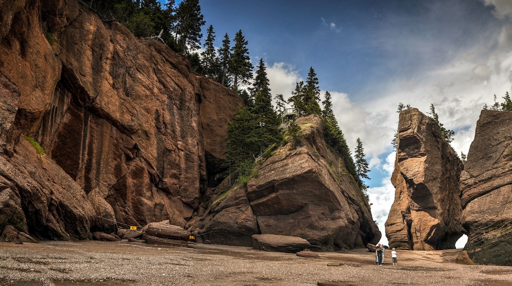 Hopewell Rocks Park during low tide in the Bay of Fundy in New Brunswick, Canada