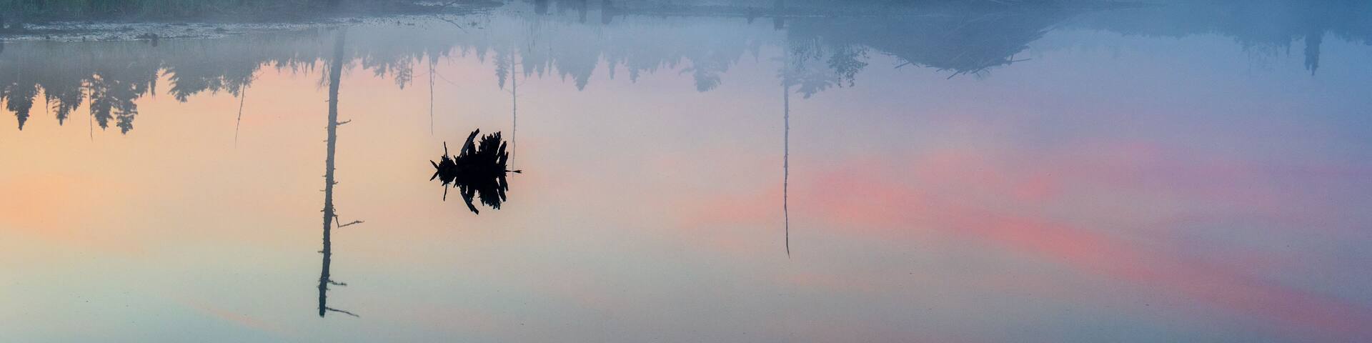 Sunrise over a wetland