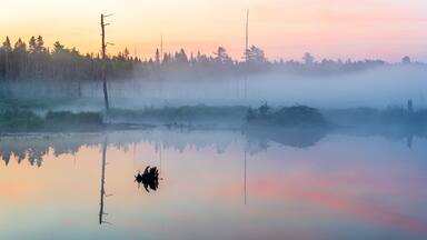Sunrise over a wetland