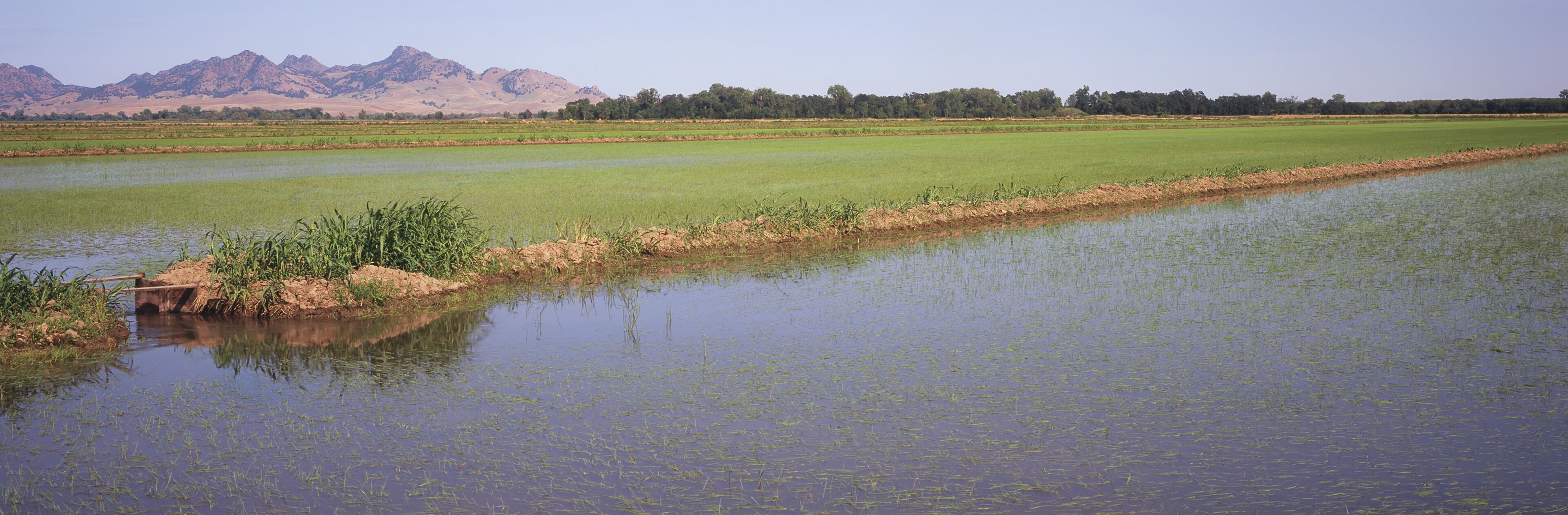 A river with a small bridge, a green field, and mountains in the background.
