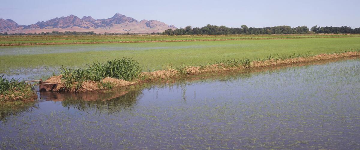 A river with a small bridge, a green field, and mountains in the background.