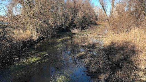 One of the best places for birdwatching during late fall to winter months.