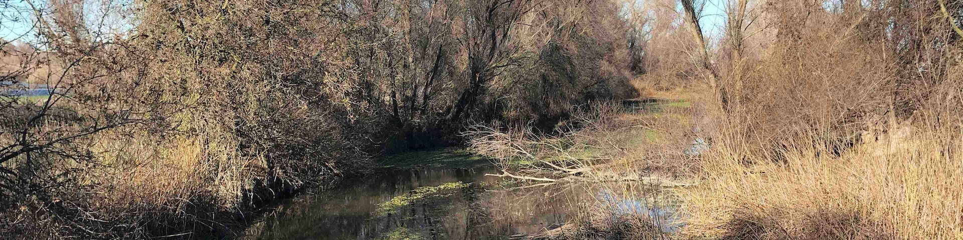 One of the best places for birdwatching during late fall to winter months.