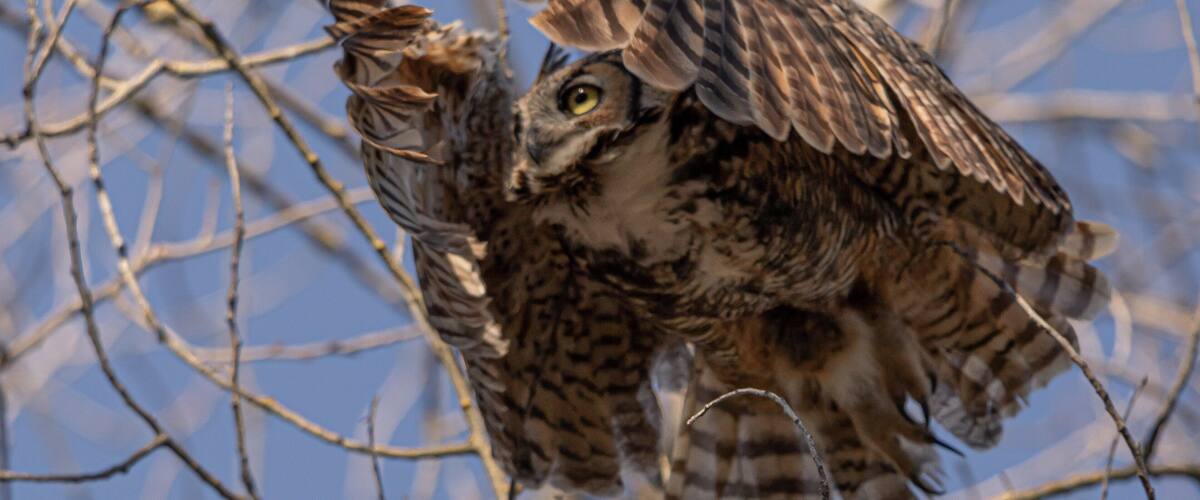 Be respectful of the wildlife here