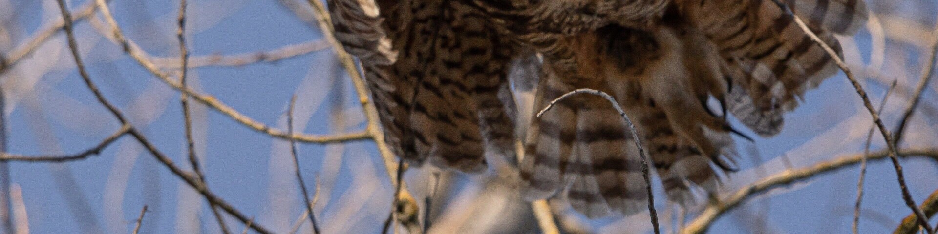 Be respectful of the wildlife here