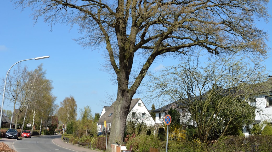 This image was uploaded as part of Wiki Loves Earth 2015.