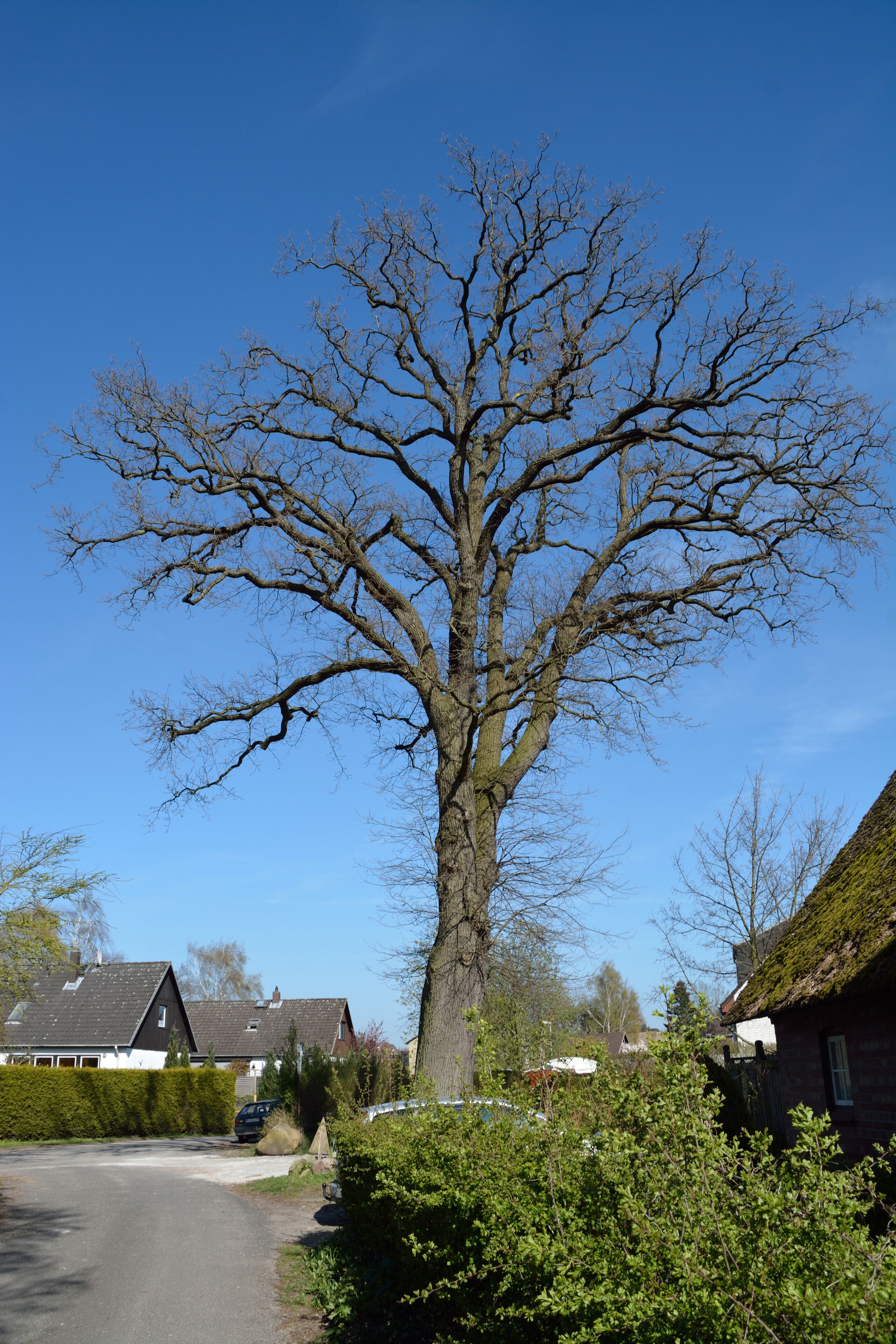 This image was uploaded as part of Wiki Loves Earth 2015.