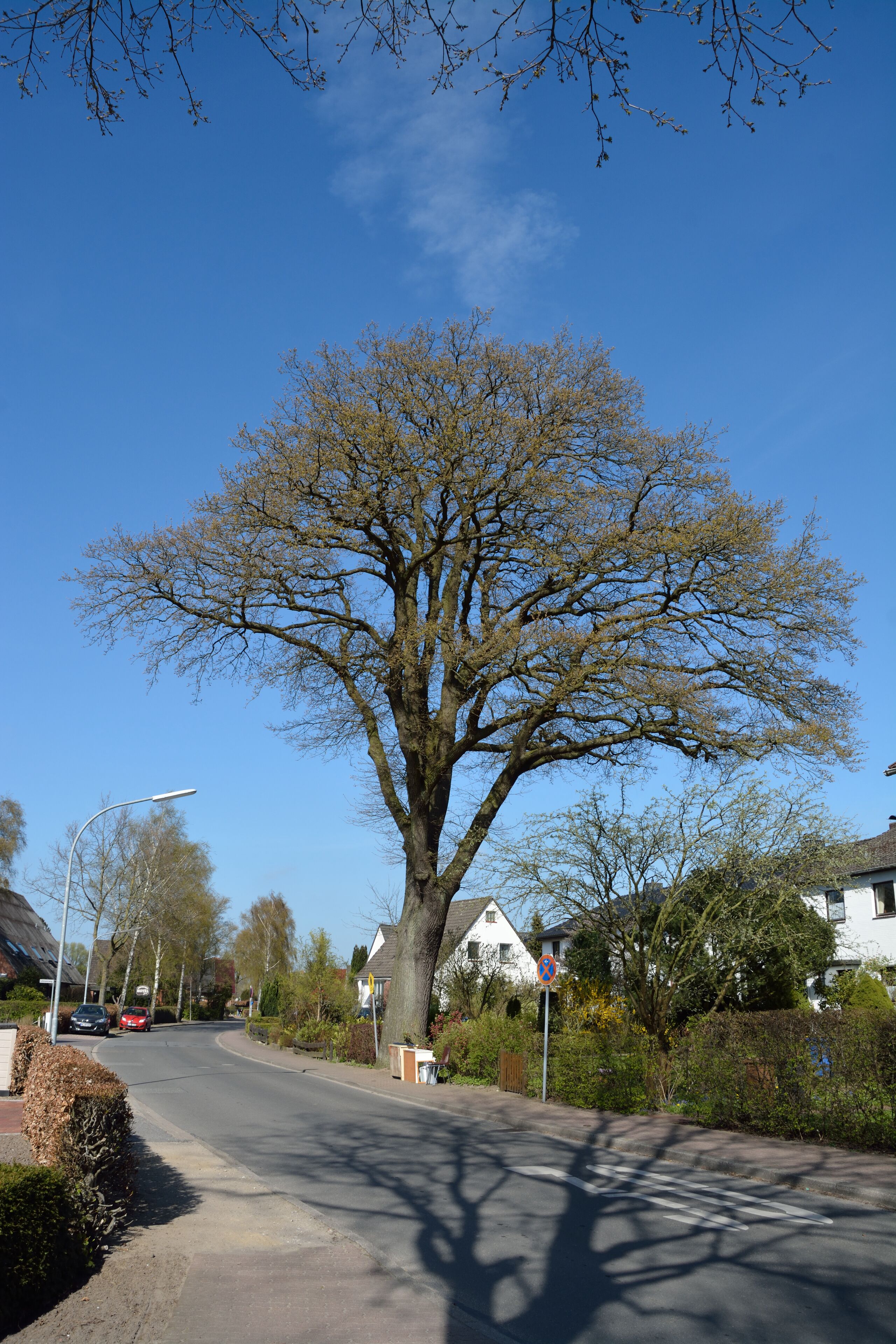 This image was uploaded as part of Wiki Loves Earth 2015.