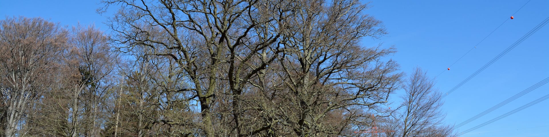 This image was uploaded as part of Wiki Loves Earth 2015.