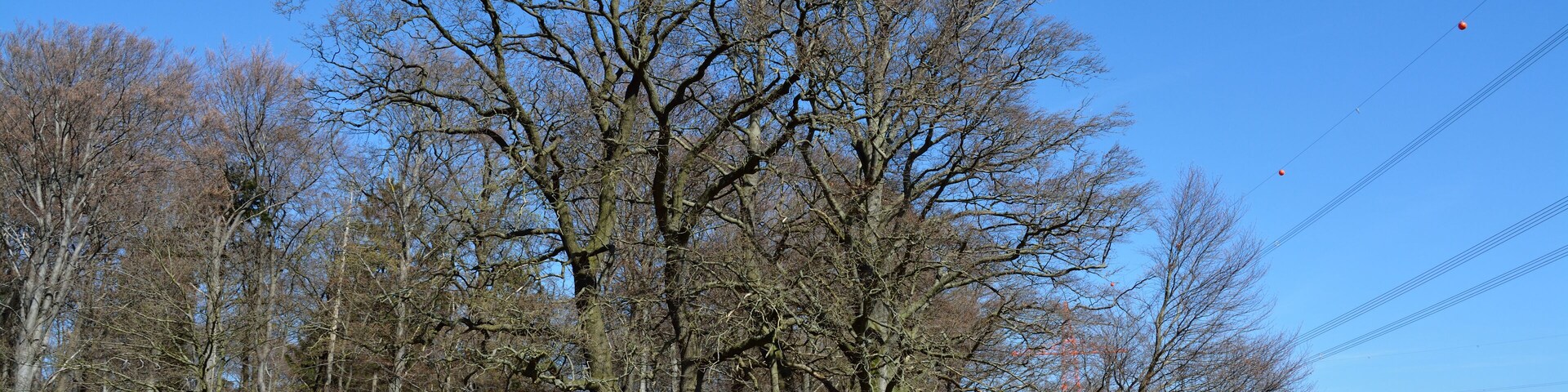 This image was uploaded as part of Wiki Loves Earth 2015.