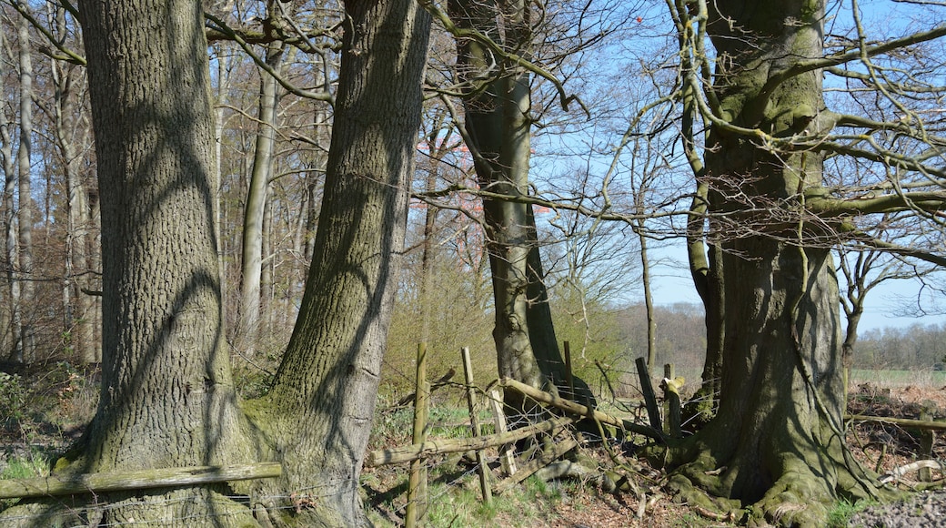 This image was uploaded as part of Wiki Loves Earth 2015.