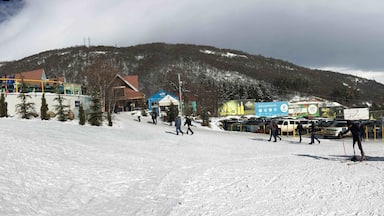 A snowy ski slope with people skiing, a blue building, and a mountain in the background.