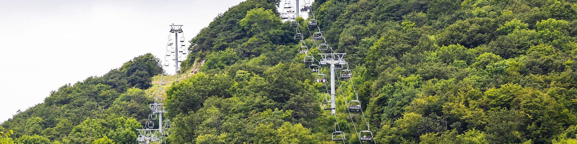 A cable car system on a lush green mountain.