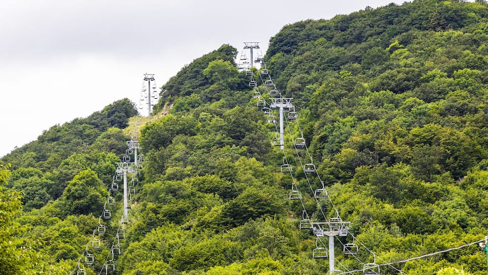 A cable car system on a lush green mountain.