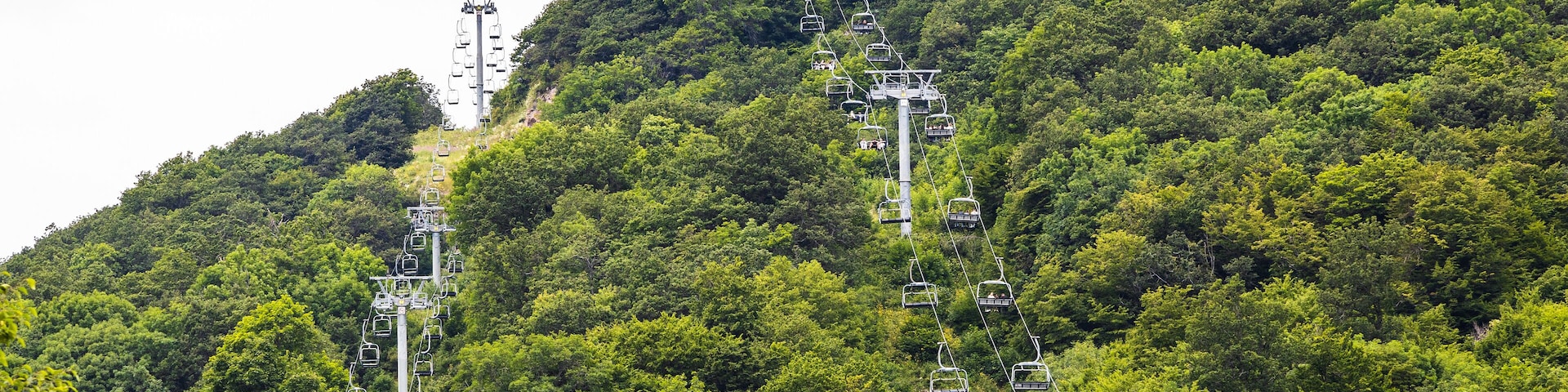 A cable car system on a lush green mountain.