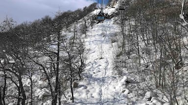 Un telesilla asciende una montaña cubierta de nieve, con árboles y terreno rocoso.