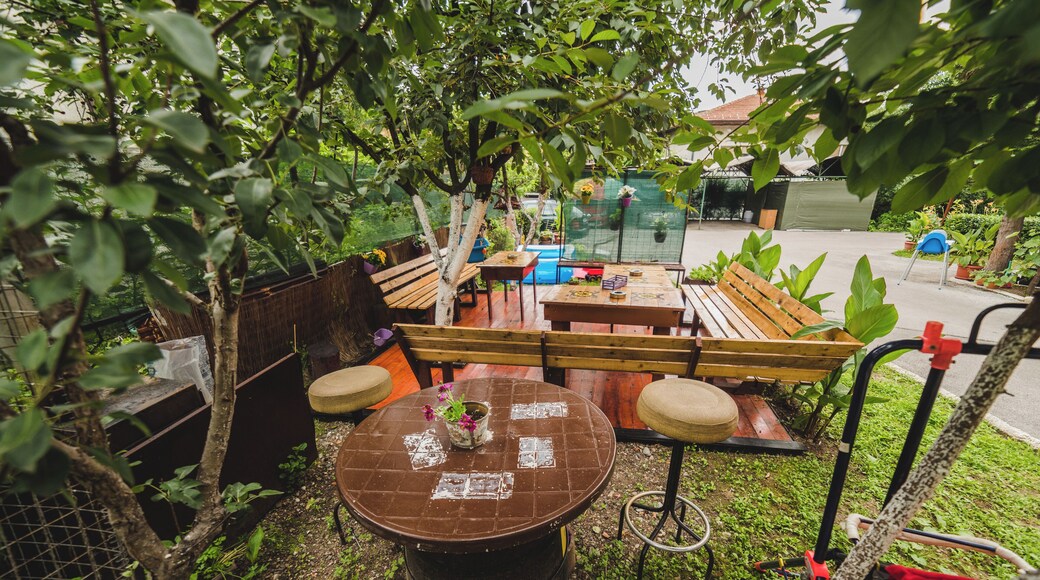 Garden for all ages and generations
#Tuzla #hostel #hotel #follow #followme #mustsee
www.ghpasha.com