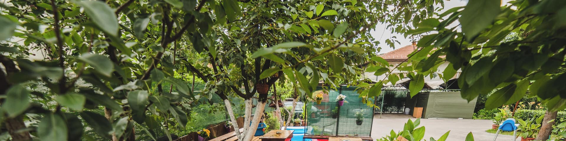 Garden for all ages and generations
#Tuzla #hostel #hotel #follow #followme #mustsee
www.ghpasha.com