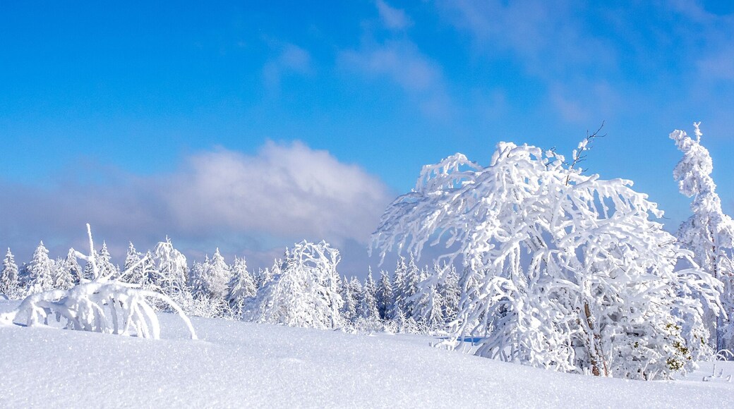 Winterlandschaft Fichtelberg