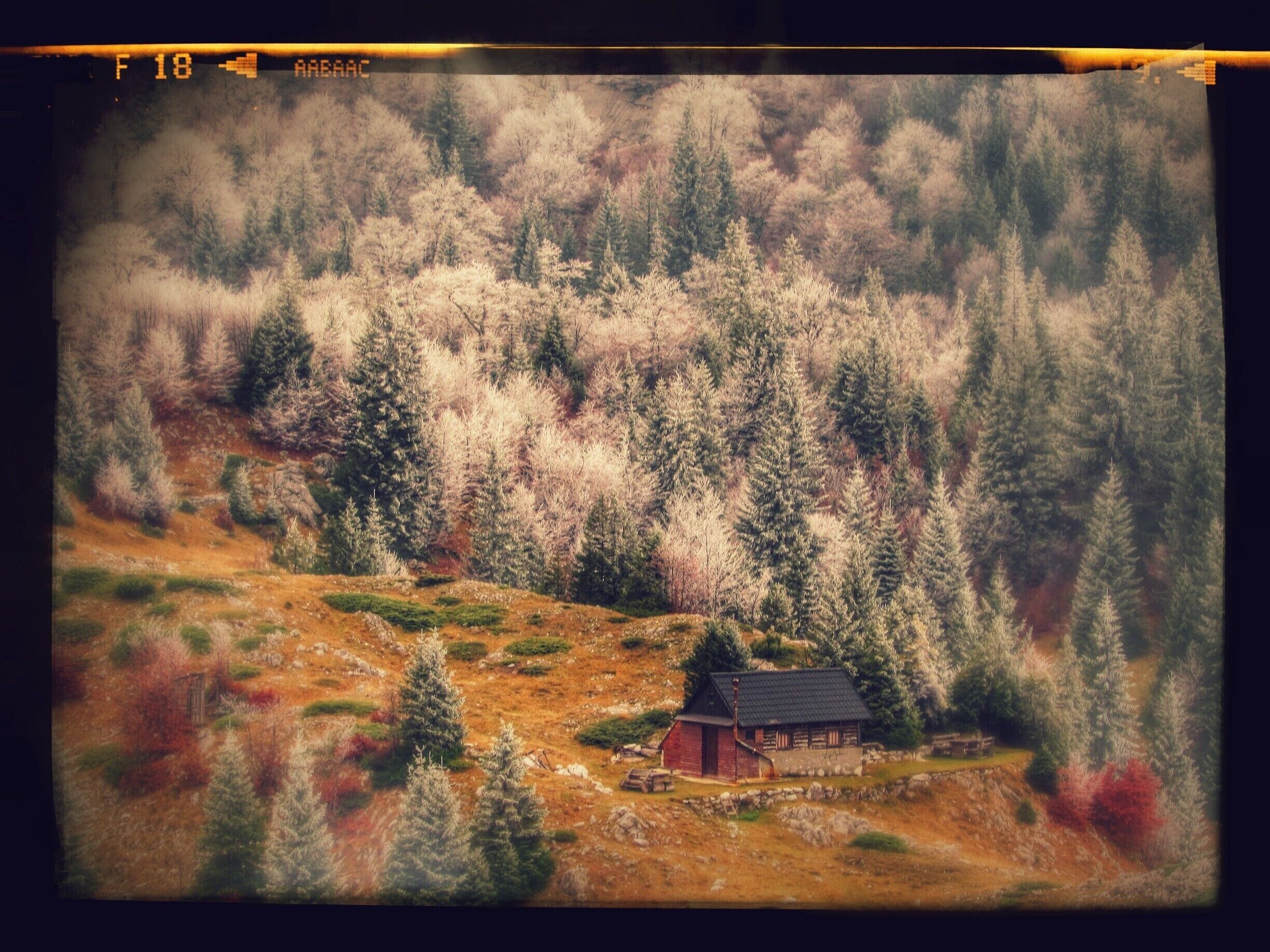 Mrtvanjski Stanari or Mrtvaje at 1585 m a.s.l. 
Summer shepherd's settlement 
Mt. Bjelasnica, Bosnia and Herzegovina 