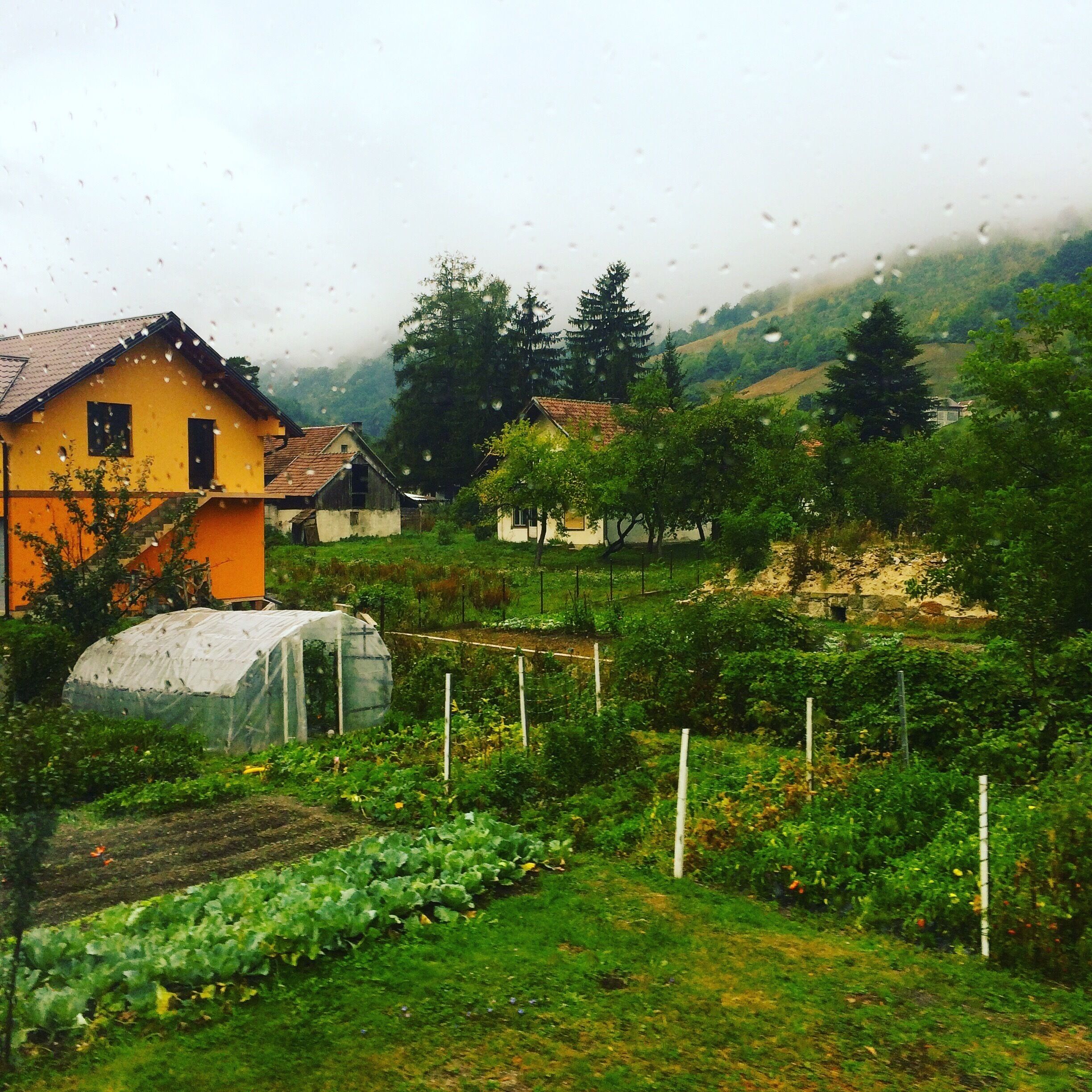 A rural landscape with a yellow house, a greenhouse, and a vegetable garden.