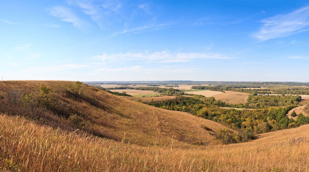 Flint Hills
