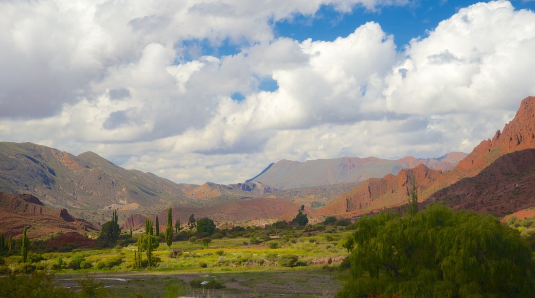 Bolivia featuring tranquil scenes
