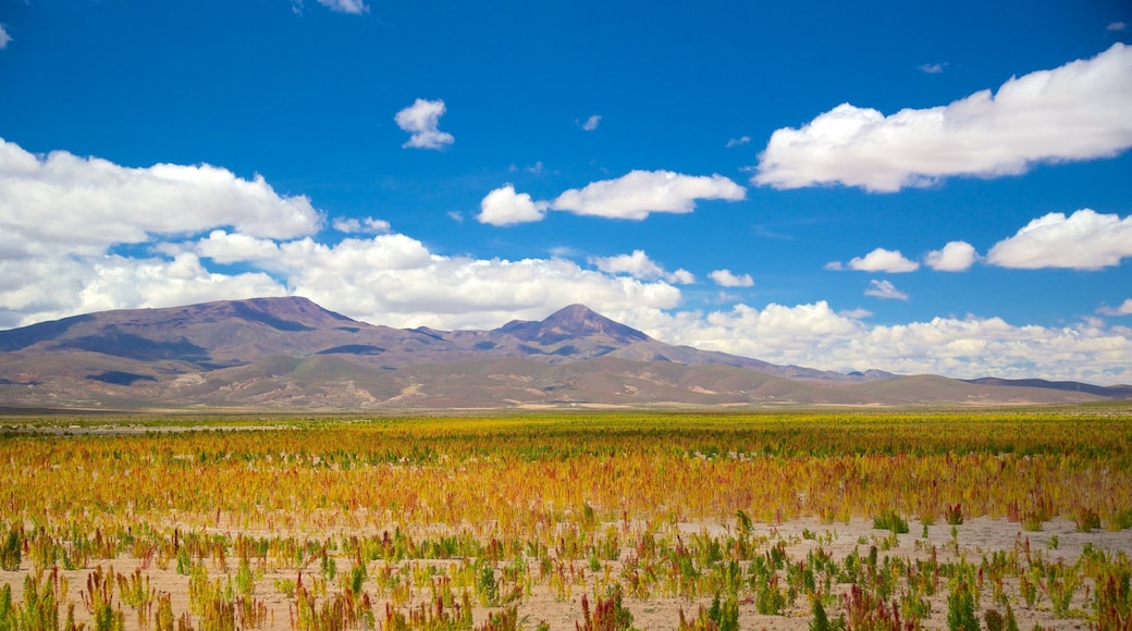 Bolivia which includes tranquil scenes