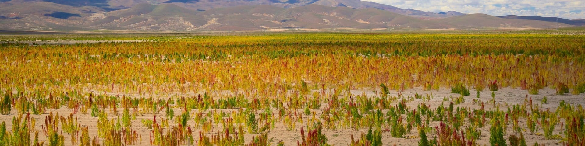 Bolivien welches beinhaltet ruhige Szenerie