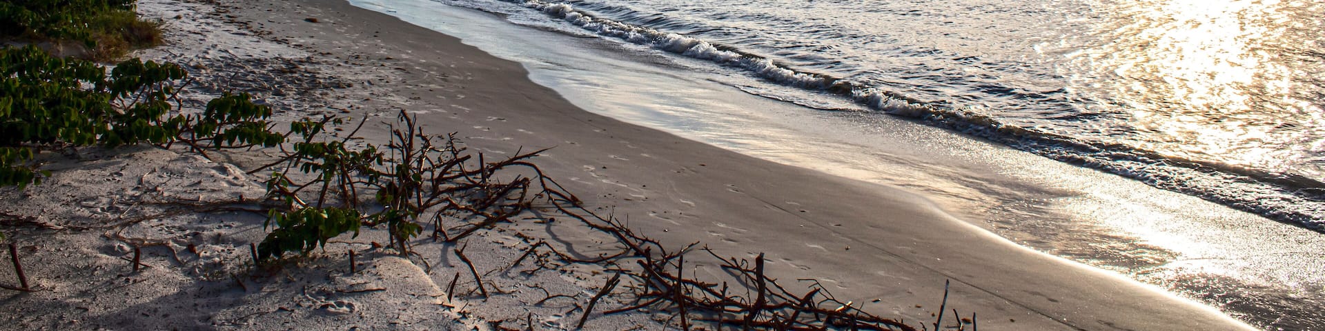 sunset over the sea in the background, located on the beach of Cachoeira do Bom Jesus, Canasvieras, Ponta das Canas, Florianopolis, Santa Catarina, Brazil