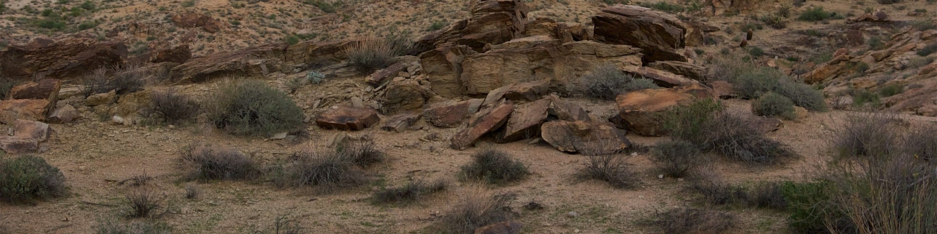 Nevada ofreciendo una puesta de sol y vistas al desierto