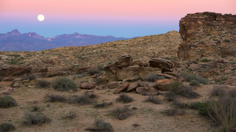 A desert landscape with rocky formations and sparse vegetation under a pink and purple sky.