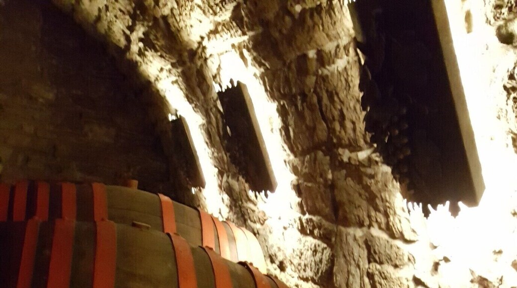 This is the wine cellar of the family owned restaurant and winery. During WWII, the family hid Jewish friends in the cellar.
-2017
