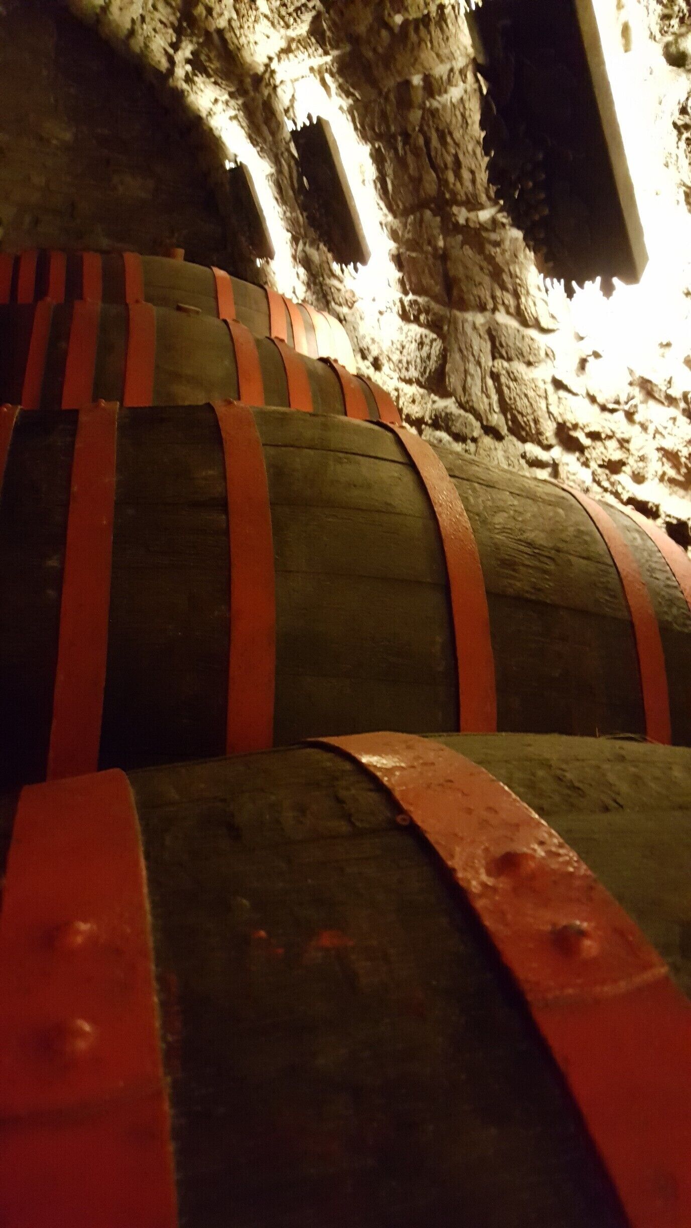 Barrels stacked in a dimly lit cellar.