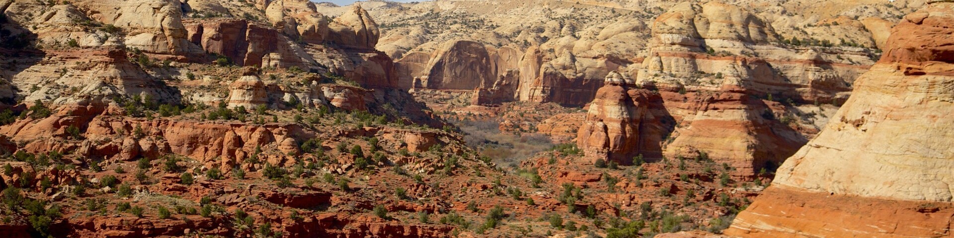 Great Basin showing desert views and a gorge or canyon