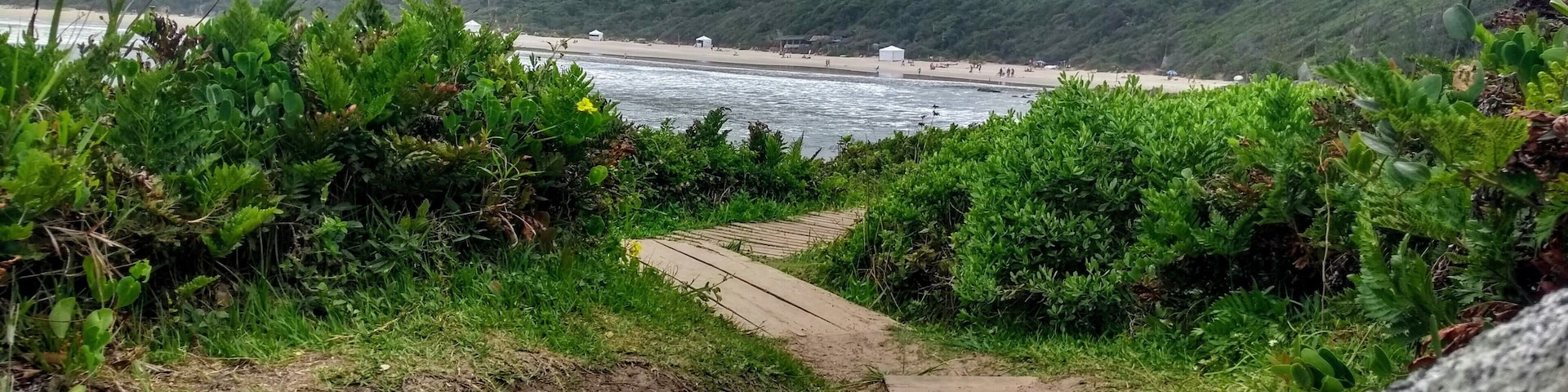 A coastal landscape with a sandy beach, green hills, and a rocky foreground.