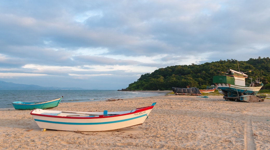 Ponta das Canas Beach in Florianopolis, Brazil.; Shutterstock ID 507502066