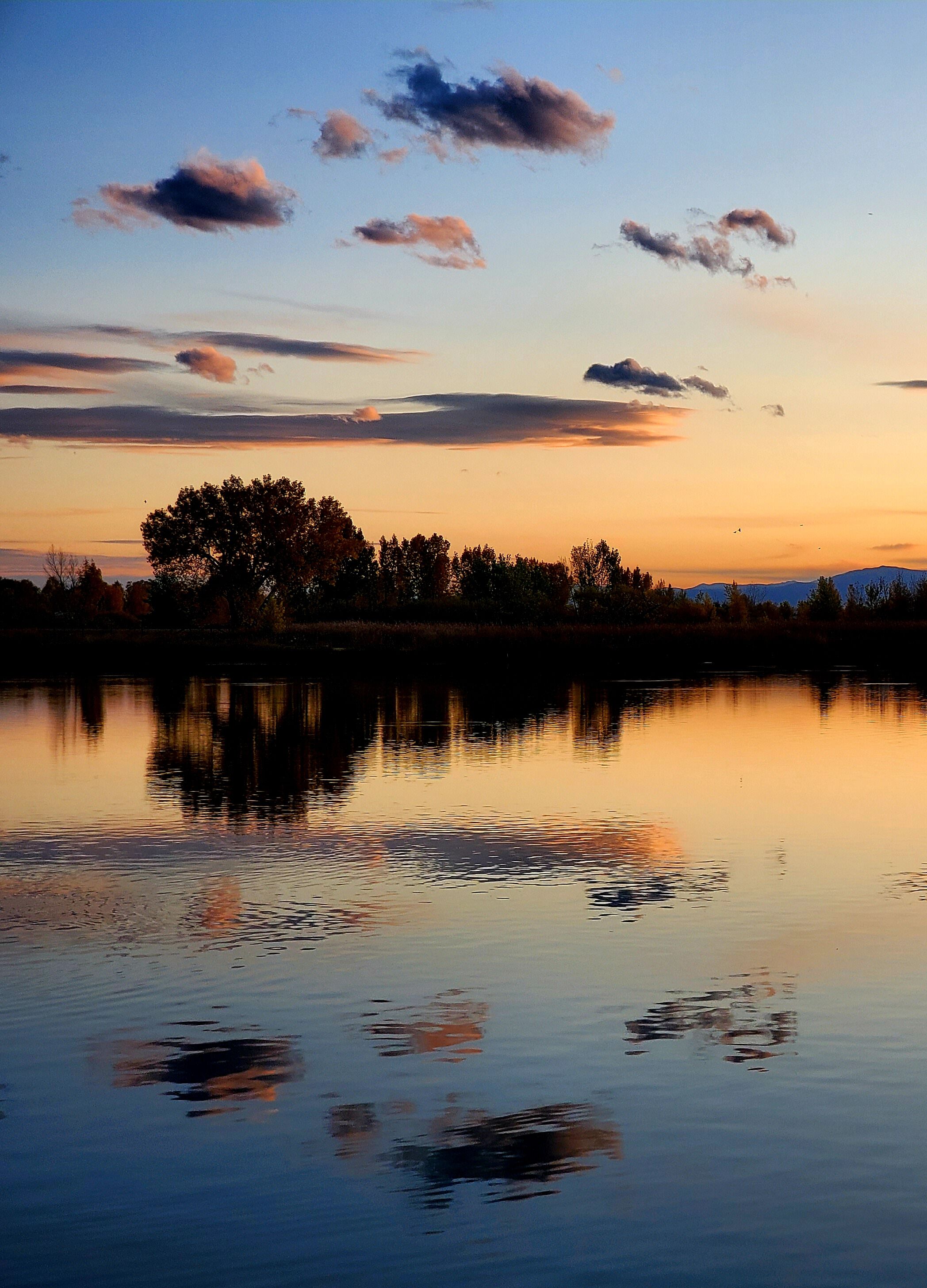 This Colorado state park is right next to I25, so it can appear to be noisy and not very "naturey." But when you put your back to the highway and take a breath, you can hear birds, watch fish jump, smell campfires, and even watch bald eagles find their dinner. I love fishing and truly enjoy being able to "get away" only 15 minutes from my house.