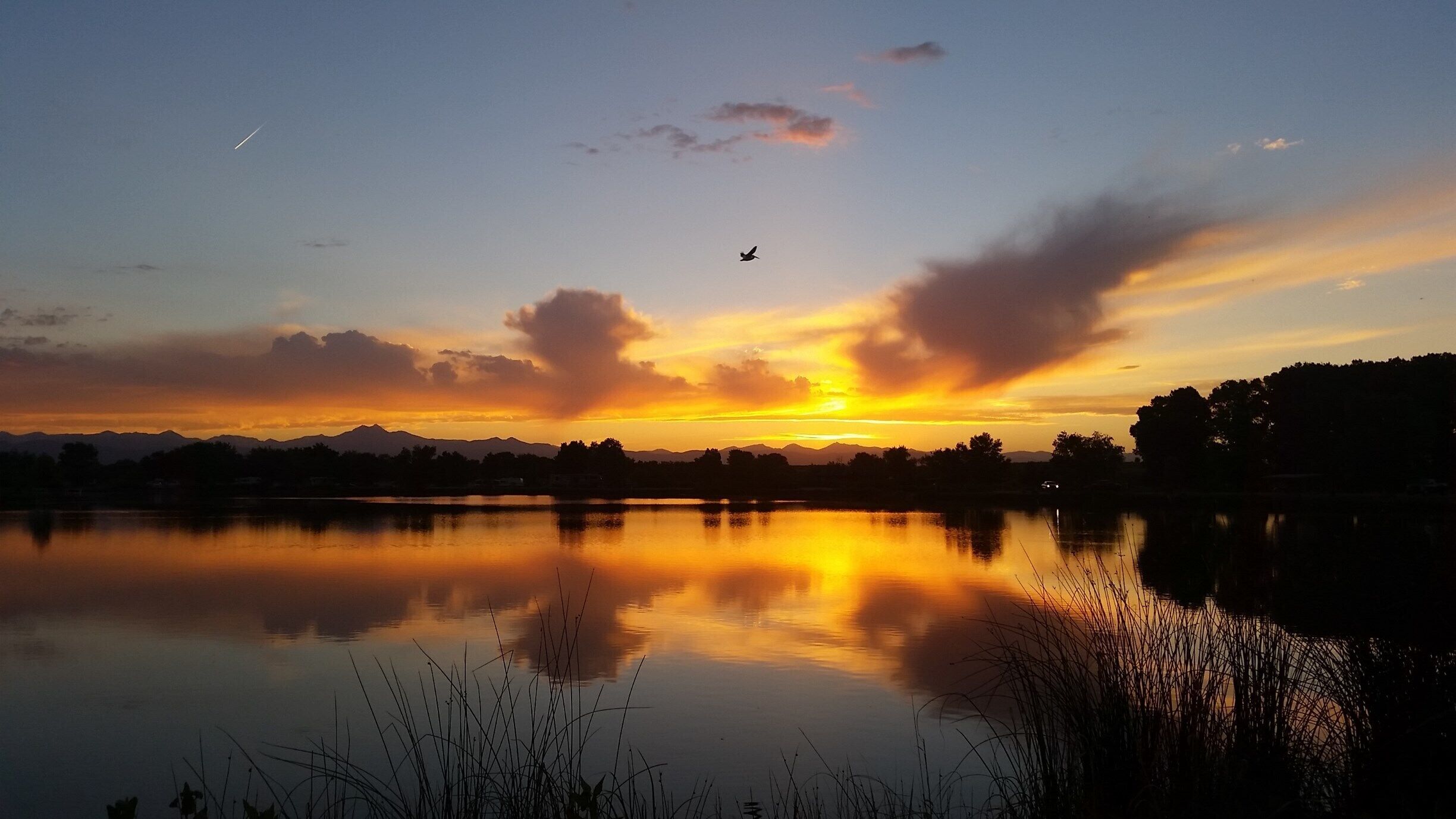 An American white pelican, one of the biggest birds you can observe in North America with its nine-foot wingspan, comes home to roost at 8:45 pm on the longest day of the year at St. Vrain State Park in Longmont, Colorado. Pelicans breed every summer on this inland prairie reservoir with a backdrop of the Rocky Mountains. A life of traveling and working via motorcoach full-time allows us to discover such wonders.
#UStravel #RVlife #Colorado #birds #wildlife #solstice #summer #sunset #statepark #pelican #sky #colorful
