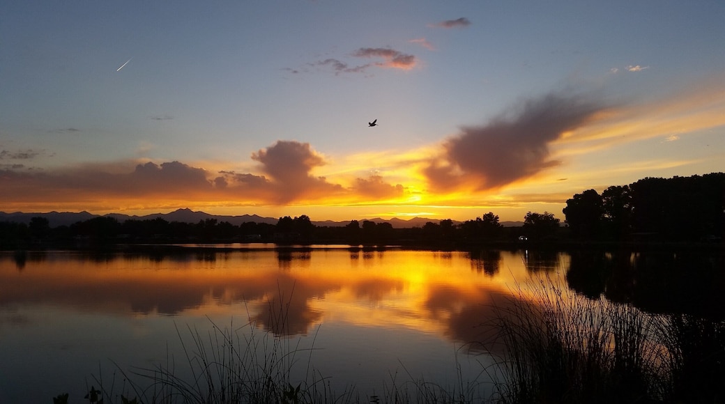An American white pelican, one of the biggest birds you can observe in North America with its nine-foot wingspan, comes home to roost at 8:45 pm on the longest day of the year at St. Vrain State Park in Longmont, Colorado. Pelicans breed every summer on this inland prairie reservoir with a backdrop of the Rocky Mountains. A life of traveling and working via motorcoach full-time allows us to discover such wonders.
#UStravel #RVlife #Colorado #birds #wildlife #solstice #summer #sunset #statepark #pelican #sky #colorful