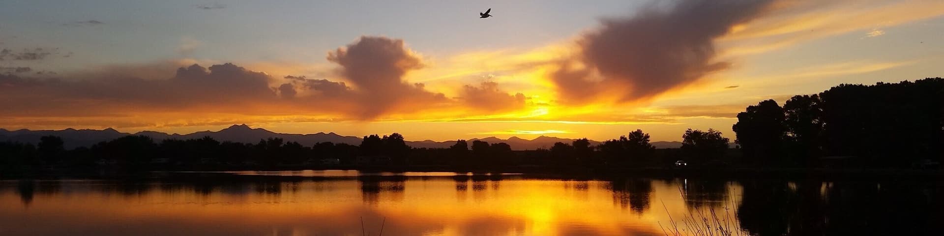 An American white pelican, one of the biggest birds you can observe in North America with its nine-foot wingspan, comes home to roost at 8:45 pm on the longest day of the year at St. Vrain State Park in Longmont, Colorado. Pelicans breed every summer on this inland prairie reservoir with a backdrop of the Rocky Mountains. A life of traveling and working via motorcoach full-time allows us to discover such wonders.
#UStravel #RVlife #Colorado #birds #wildlife #solstice #summer #sunset #statepark #pelican #sky #colorful