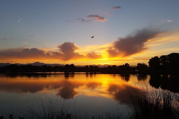 An American white pelican, one of the biggest birds you can observe in North America with its nine-foot wingspan, comes home to roost at 8:45 pm on the longest day of the year at St. Vrain State Park in Longmont, Colorado. Pelicans breed every summer on this inland prairie reservoir with a backdrop of the Rocky Mountains. A life of traveling and working via motorcoach full-time allows us to discover such wonders.
#UStravel #RVlife #Colorado #birds #wildlife #solstice #summer #sunset #statepark #pelican #sky #colorful