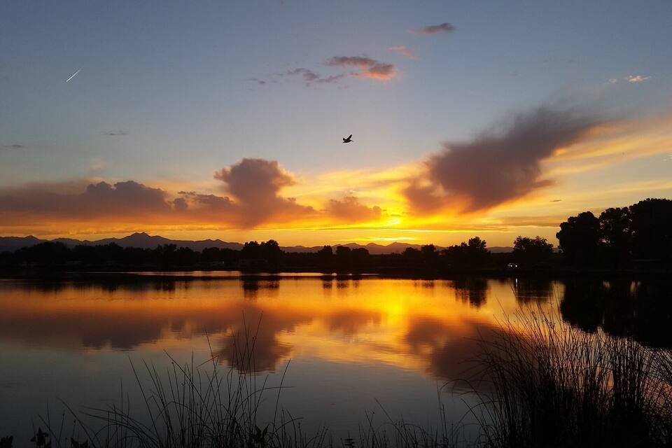 Atardecer sobre un lago tranquilo, con reflejos del cielo, silueta de montañas al fondo y un pájaro volando.