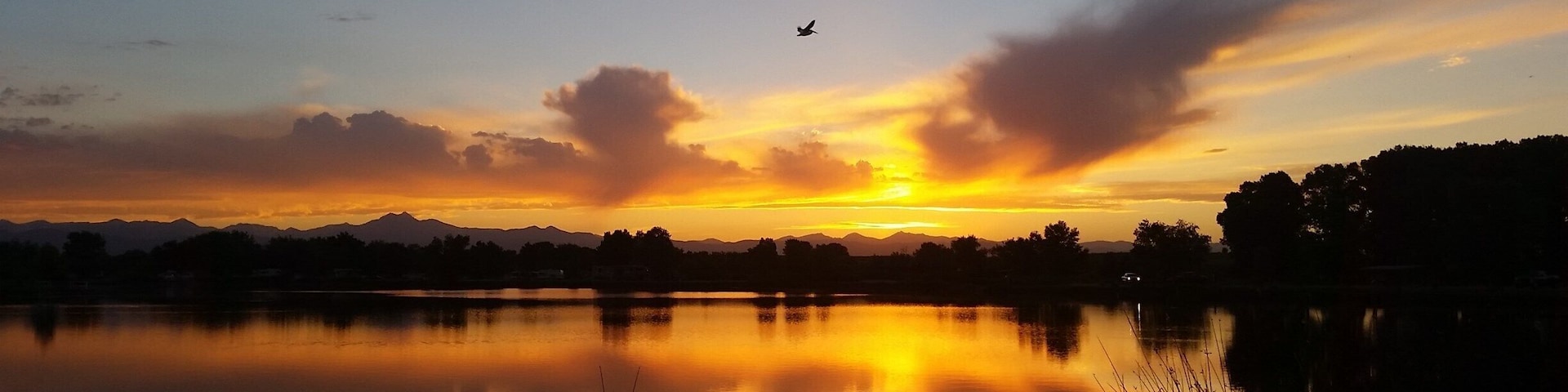 An American white pelican, one of the biggest birds you can observe in North America with its nine-foot wingspan, comes home to roost at 8:45 pm on the longest day of the year at St. Vrain State Park in Longmont, Colorado. Pelicans breed every summer on this inland prairie reservoir with a backdrop of the Rocky Mountains. A life of traveling and working via motorcoach full-time allows us to discover such wonders.
#UStravel #RVlife #Colorado #birds #wildlife #solstice #summer #sunset #statepark #pelican #sky #colorful