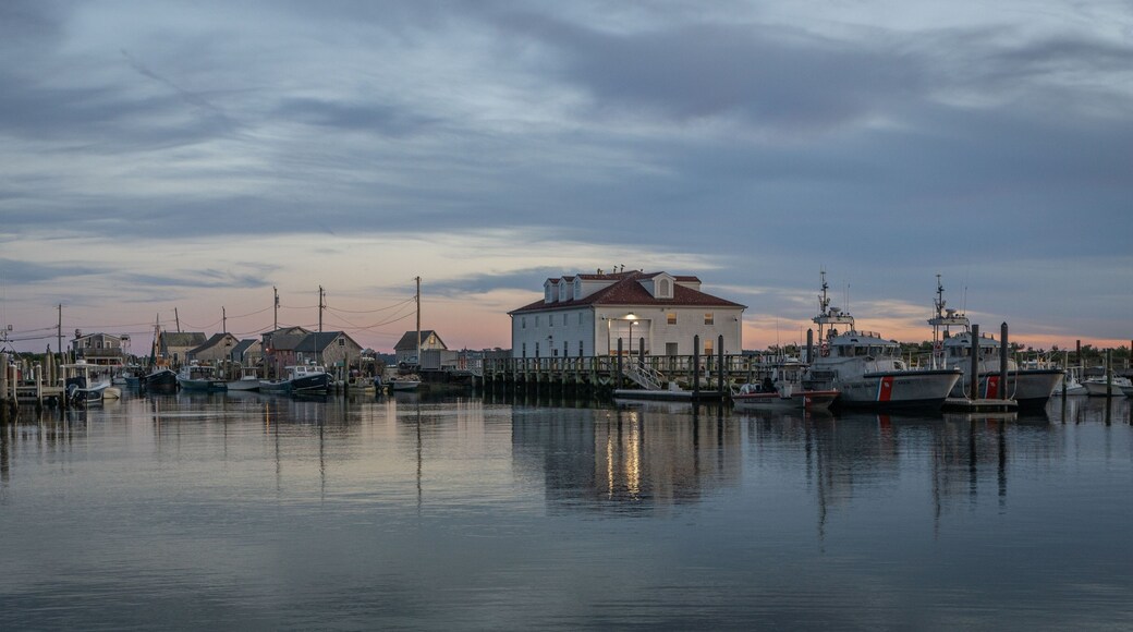 ไวน์ยาร์ด เฮเวน