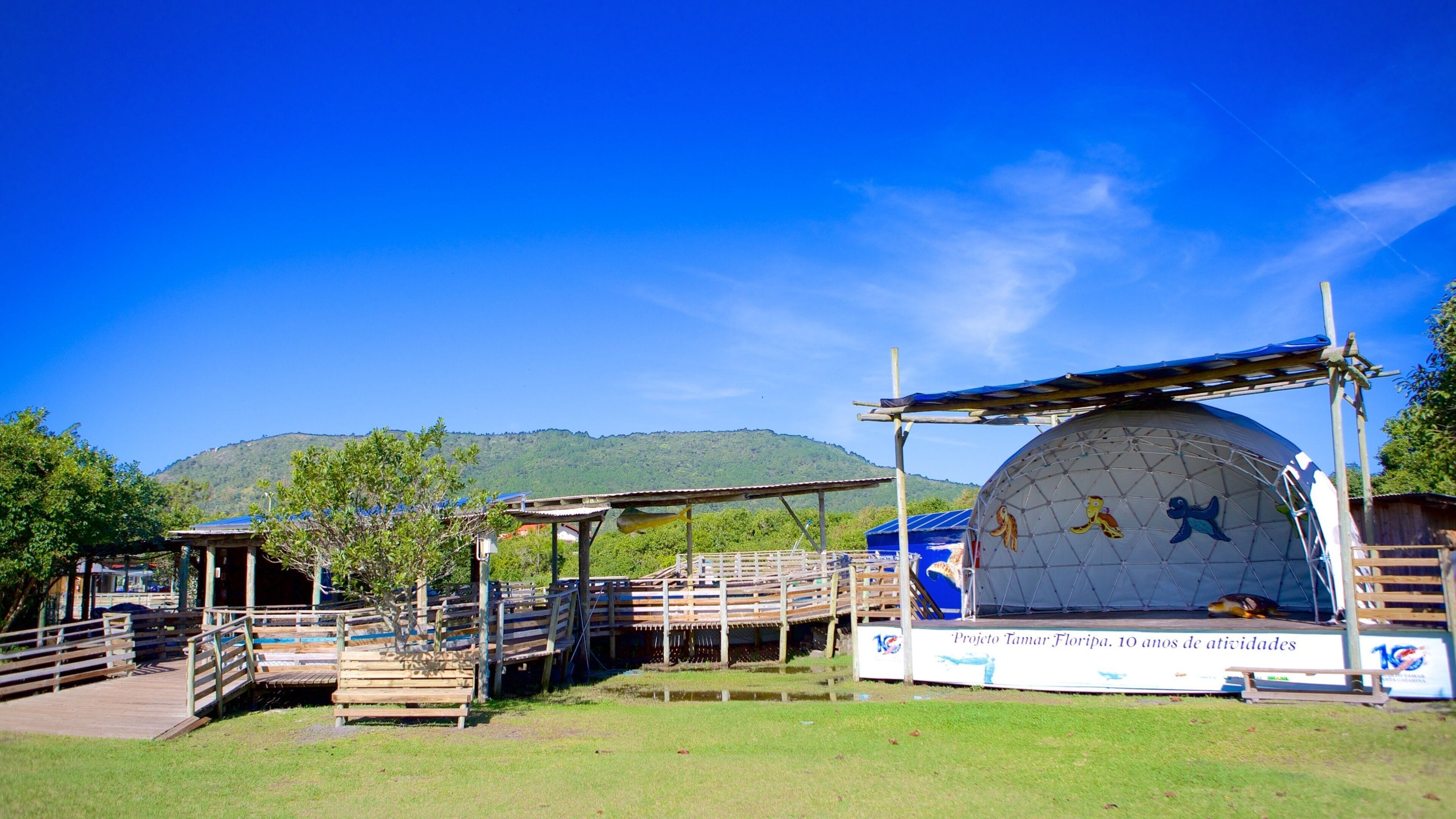 Projeto TAMAR fasiliteter samt dyrehagedyr