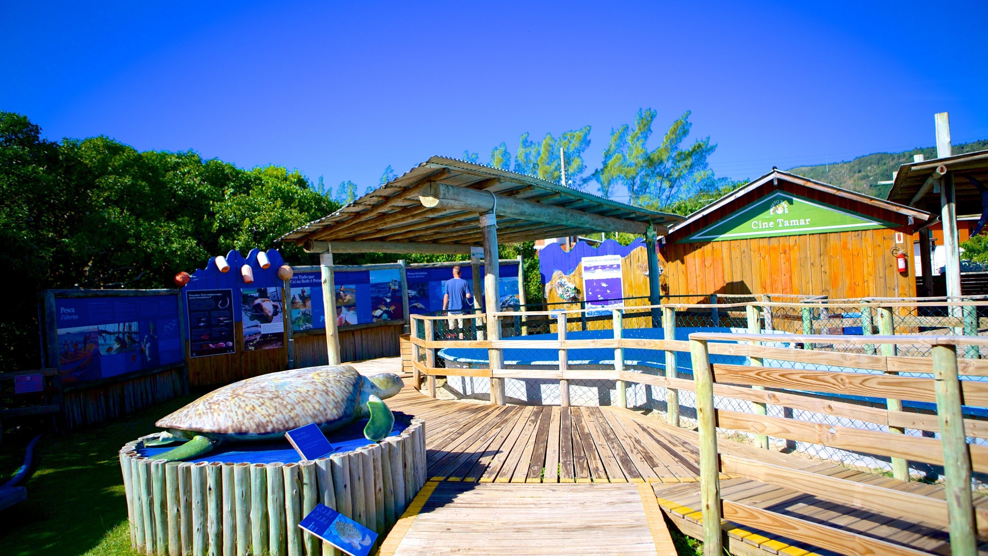 Tamar Project showing zoo animals